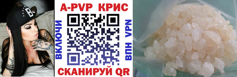 A-PVP СК  Новороссийск 
