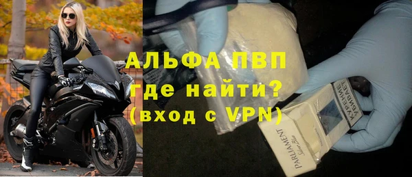 индика Карпинск