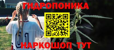 СК Нягань