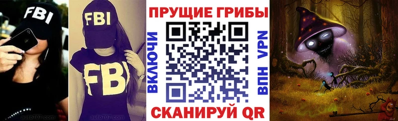 Галлюциногенные грибы ЛСД  kraken tor  Новороссийск 