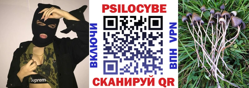 Псилоцибиновые грибы мухоморы Новороссийск