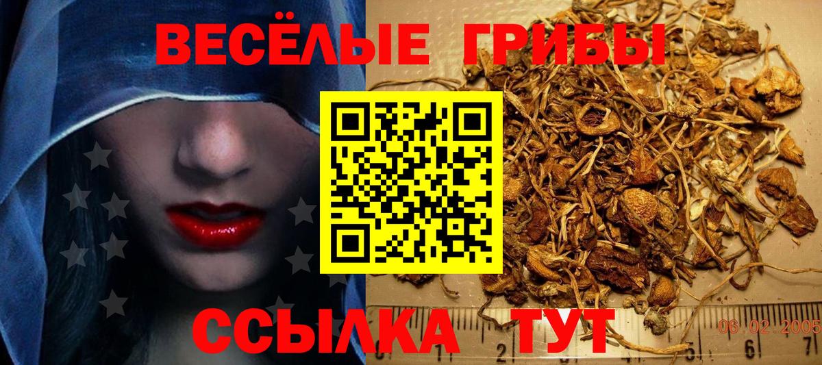 Галлюциногенные грибы MAGIC MUSHROOMS Новороссийск