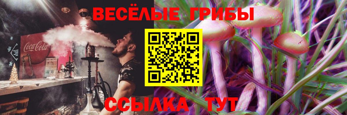 Псилоцибиновые грибы прущие грибы  Вход с VPN  Новороссийск  Галлюциногенные грибы Psilocybe 